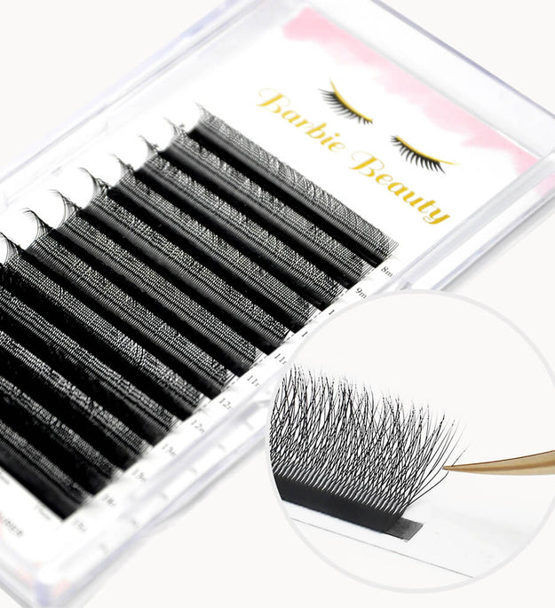 W Lashes Extensions 4D