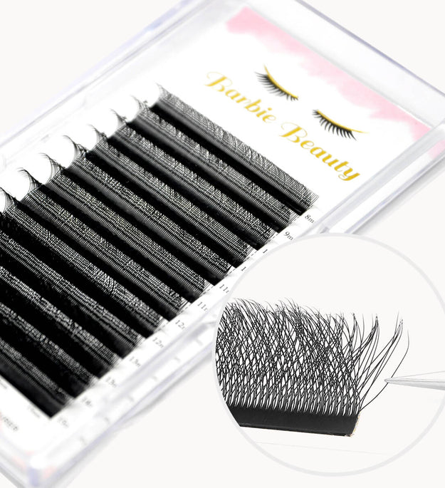W Lashes Extensions 6D