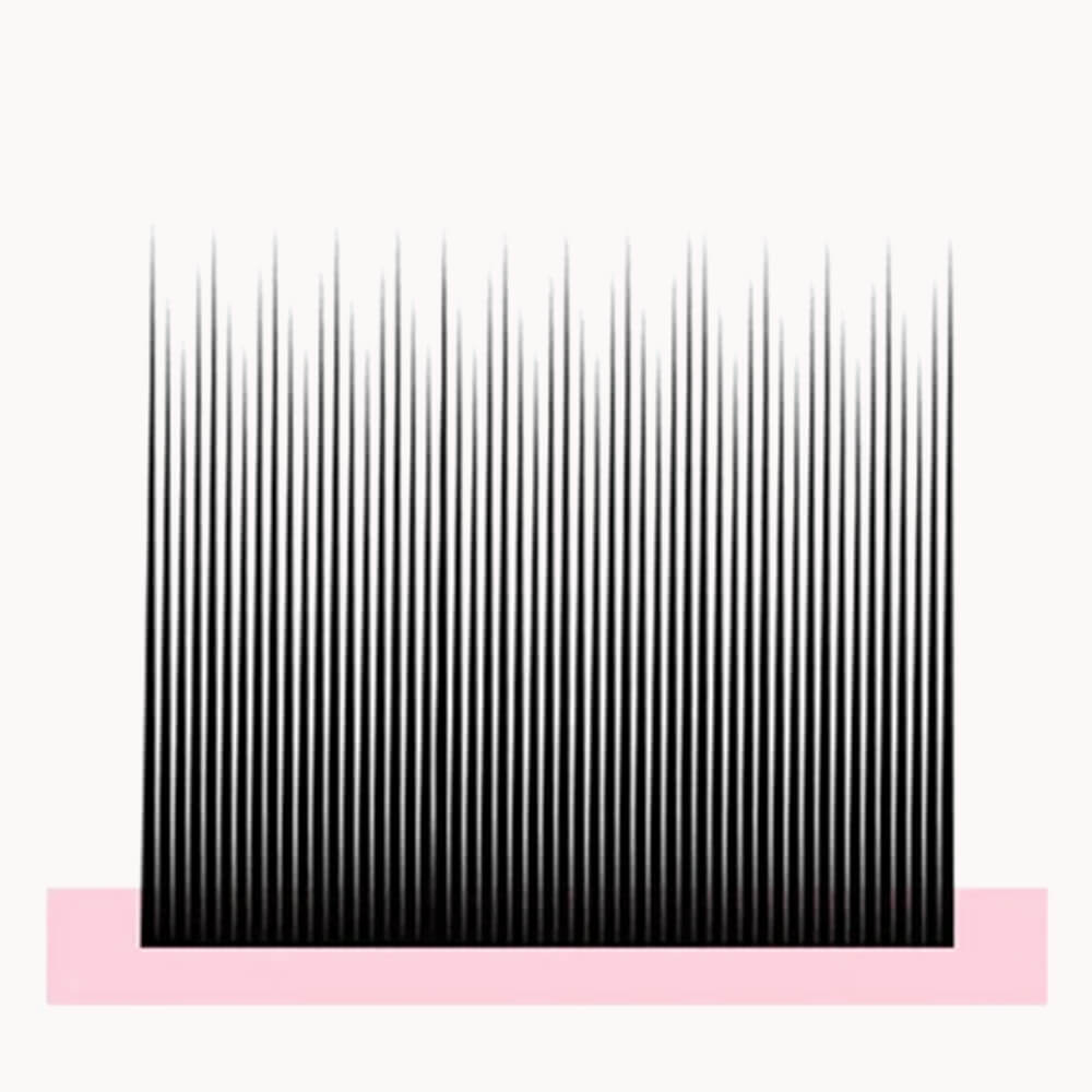 Camellia Eyelash Extensions Individual Lashes 0.10mm