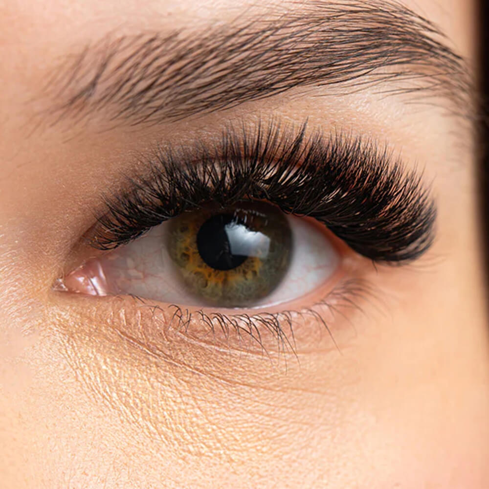 Camellia Eyelash Extensions Individual Lashes 0.10mm