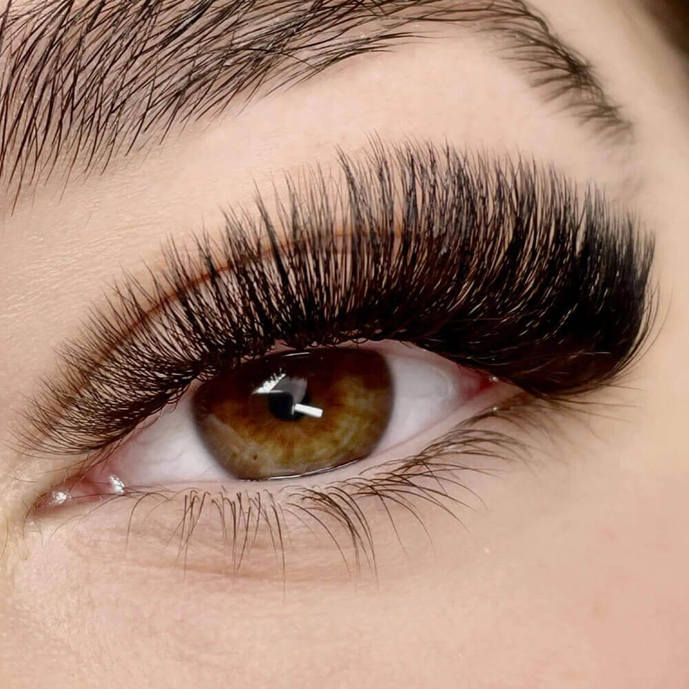 Hochwertige Promade Fans Pointy Base Lashes 4D