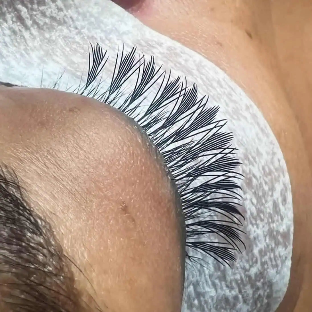 ANIME WINGS SPIKE EYELASH EXTENSIONS.